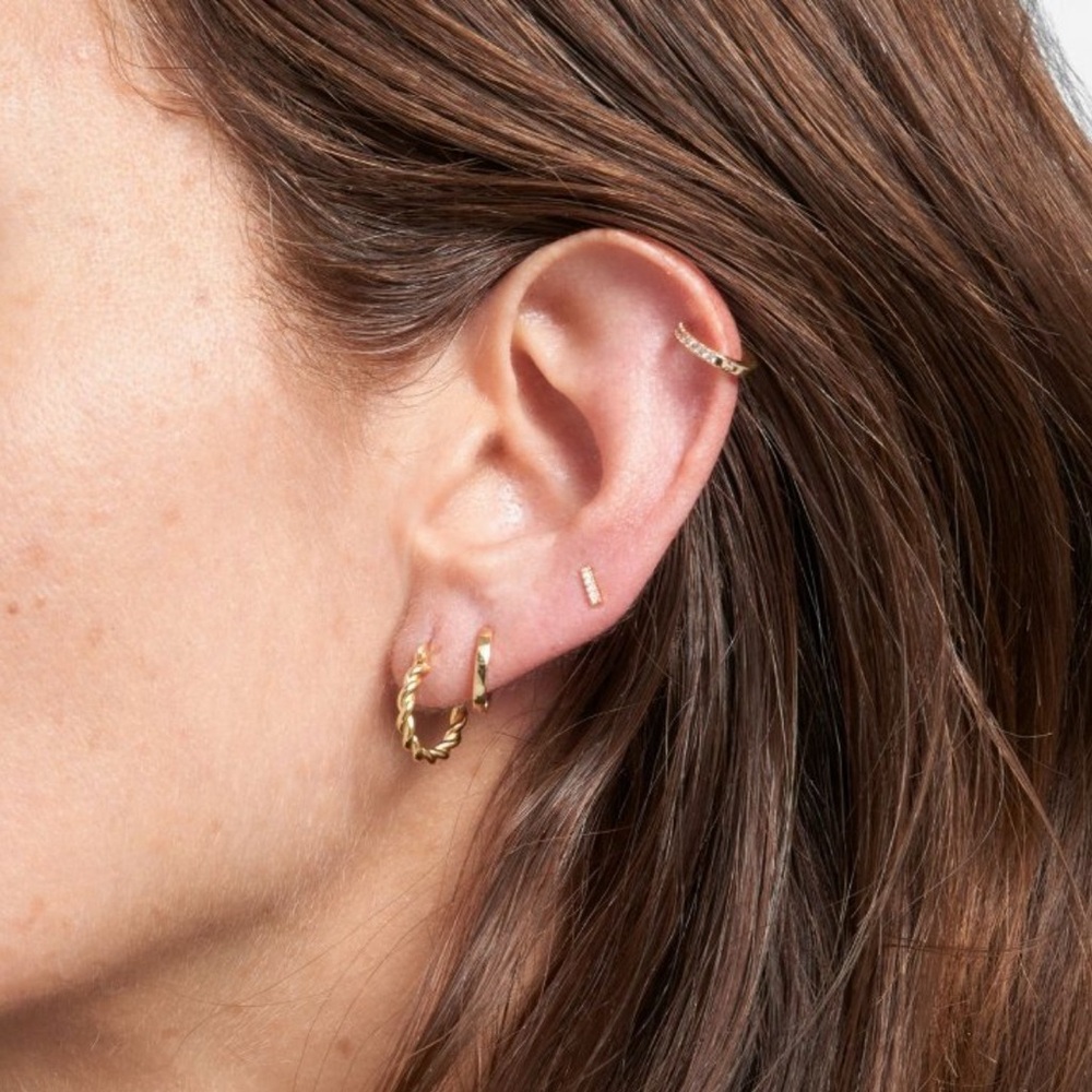 Adornia 14k Gold Plated Earrings